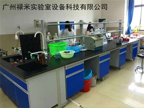 网络科技 数字时代的引擎与未来